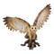 Hi-Line Gifts Barn Owl on Stump Outdoor Garden Statue - 20.5"